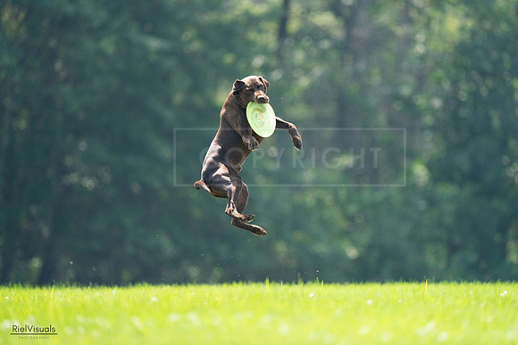 RielVisuals_20240727_123343_SJR05861