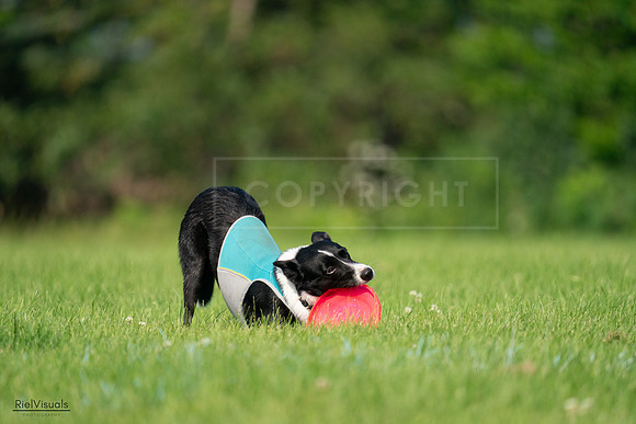 RielVisuals_20240727_094231_SJR07336