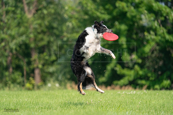 RielVisuals_20240727_100020_SJR08226