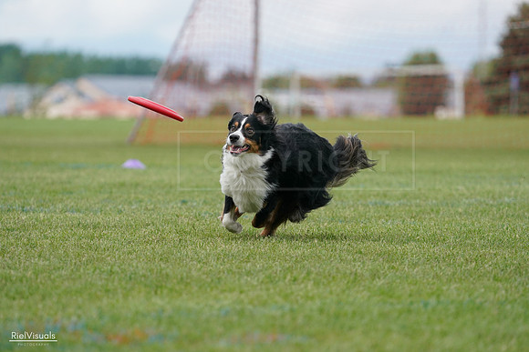 RielVisuals_20240527_142424_SJR02647