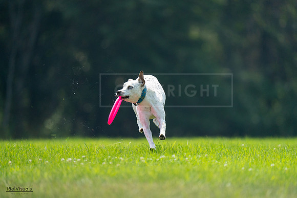 RielVisuals_20240727_120958_SJR04891