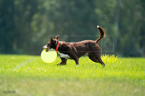RielVisuals_20240727_123203_SJR05769