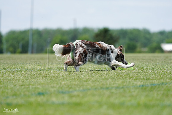 RielVisuals_20240525_120539_SJR08609