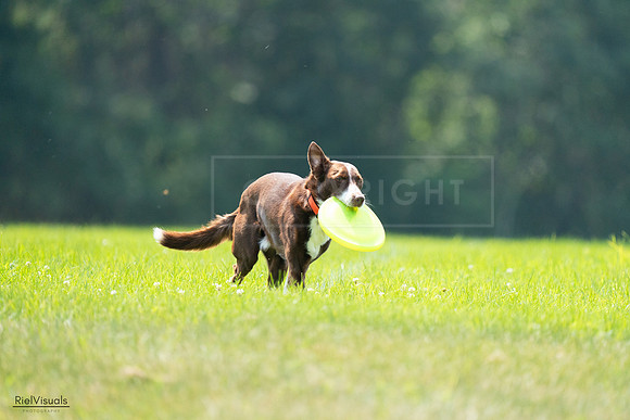 RielVisuals_20240727_121055_SJR04932