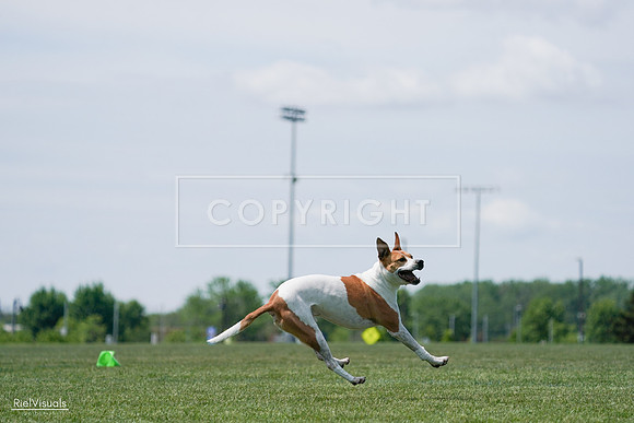 RielVisuals_20240525_121731_SJR09298