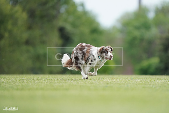 RielVisuals_20240525_161057_SJR03690