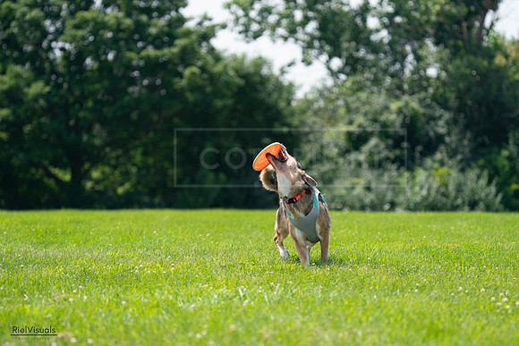 RielVisuals_20240728_124920_SJR04747