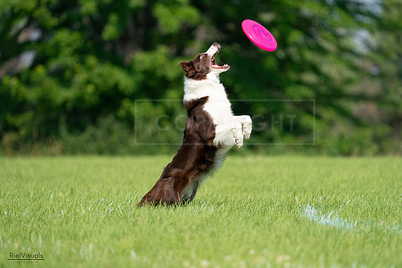 RielVisuals_20240727_095817_SJR08123