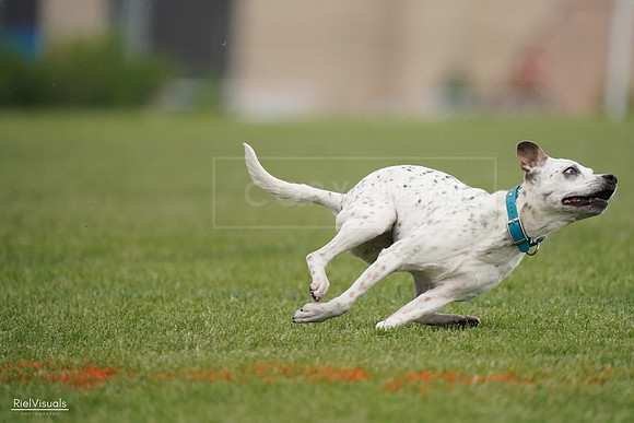 RielVisuals_20240526_090741_SJR09111