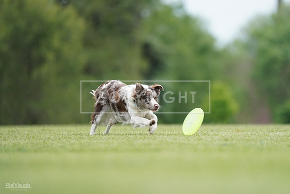 RielVisuals_20240525_161038_SJR03643