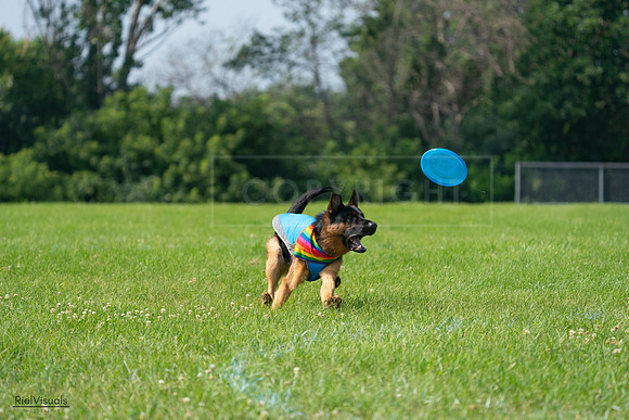 RielVisuals_20240728_104151_SJR08933