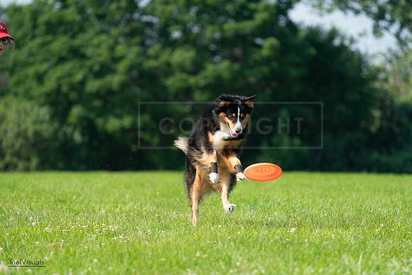 RielVisuals_20240728_100303_SJR07053