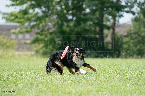 RielVisuals_20240728_143236_SJR08491