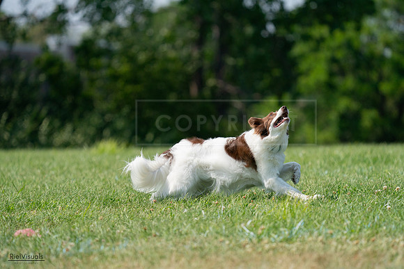 RielVisuals_20240728_145439_SJR09543