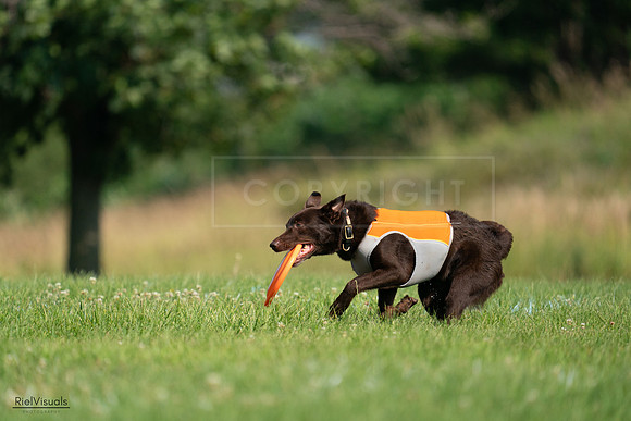 RielVisuals_20240728_095836_SJR06825