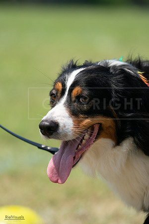 RielVisuals_20240728_133143_SJR06452