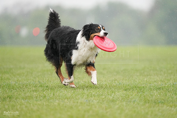 RielVisuals_20240527_104828_SJR01782