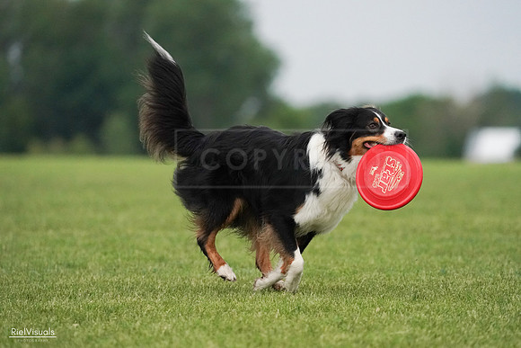 RielVisuals_20240527_091835_SJR06749