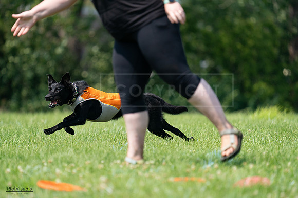 RielVisuals_20240727_134500_SJR08277