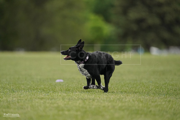 RielVisuals_20240526_132705_SJR07792