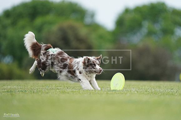 RielVisuals_20240525_161058_SJR03700