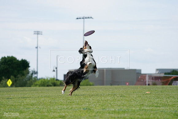 RielVisuals_20240525_122841_SJR09969
