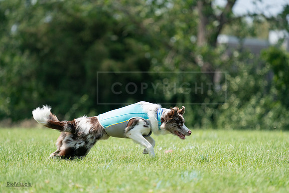 RielVisuals_20240728_142326_SJR08184