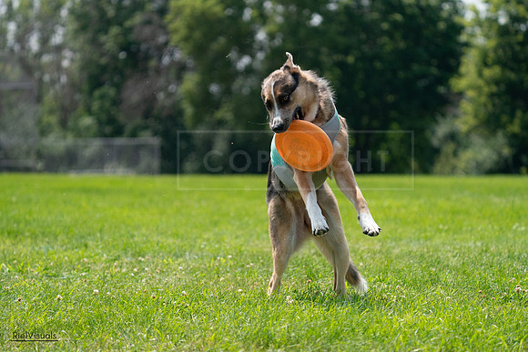 RielVisuals_20240728_140331_SJR07915