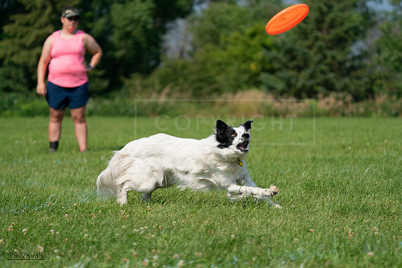 RielVisuals_20240728_102834_SJR08182