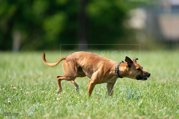 RielVisuals_20240728_150145_SJR09820