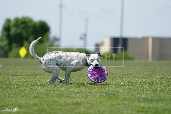 RielVisuals_20240525_120259_SJR08391