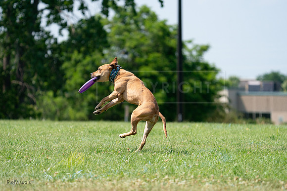 RielVisuals_20240728_150649_SJR00116
