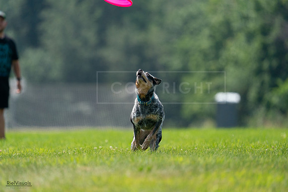 RielVisuals_20240727_120239_SJR04587