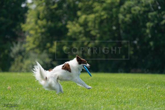 RielVisuals_20240728_134238_SJR06932