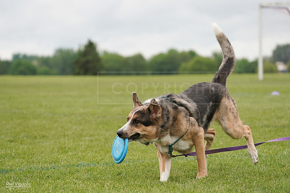 RielVisuals_20240527_133450_SJR00362