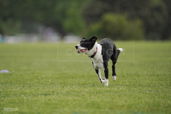 RielVisuals_20240526_093444_SJR00466