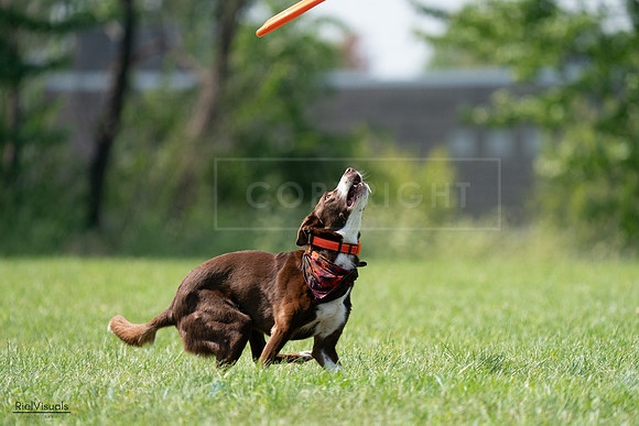 RielVisuals_20240728_151102_SJR00263