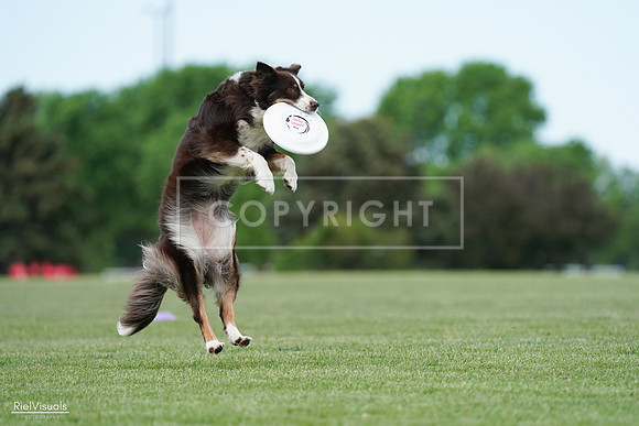 RielVisuals_20240525_090316_SJR09431