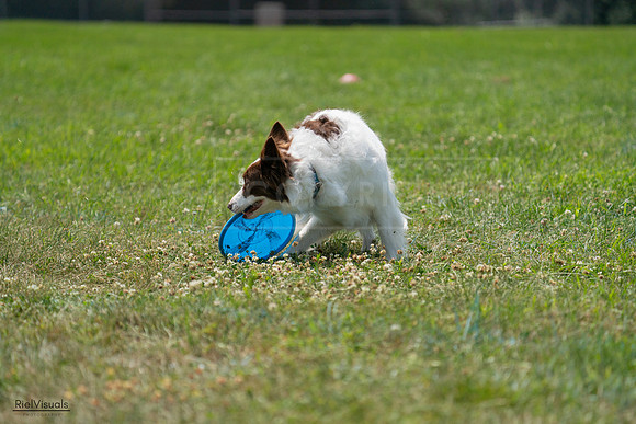 RielVisuals_20240728_134223_SJR06918