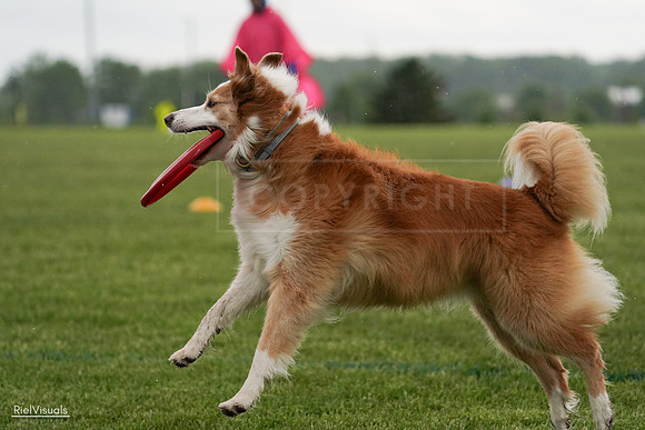 RielVisuals_20240526_094027_SJR00756