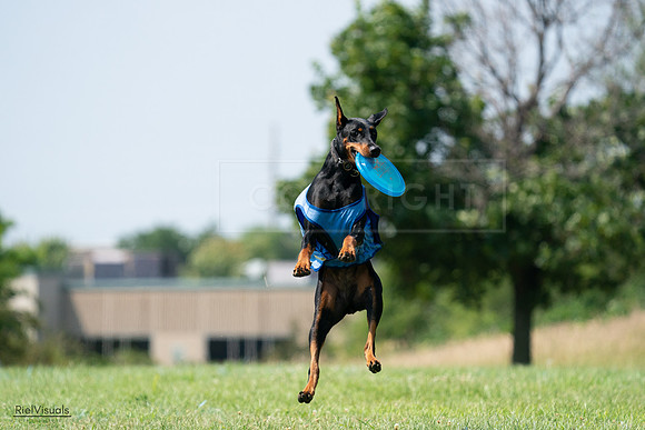 RielVisuals_20240728_145907_SJR09793