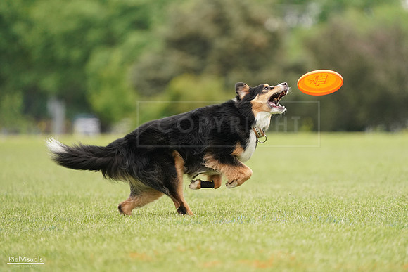 RielVisuals_20240527_133246_SJR00205
