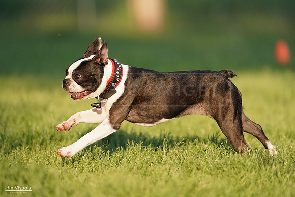 RielVisuals_20240520_193019_SJR08662