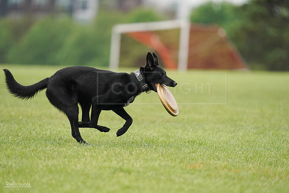 RielVisuals_20240527_110319_SJR02713