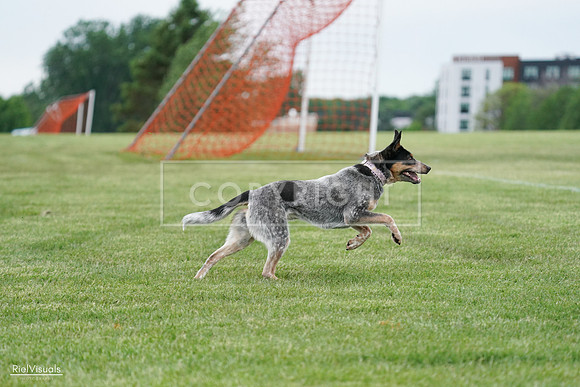 RielVisuals_20240525_170109_SJR05832