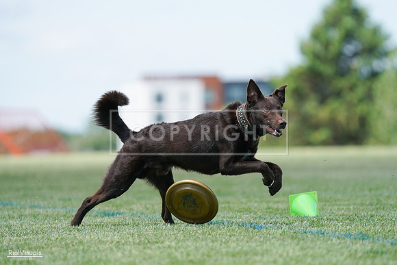 RielVisuals_20240525_120859_SJR08927