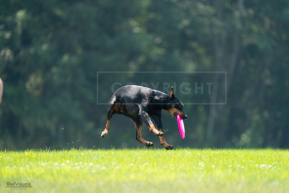 RielVisuals_20240727_121400_SJR05072
