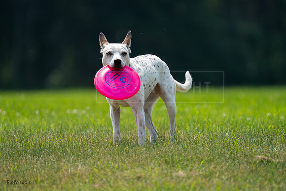 RielVisuals_20240727_120945_SJR04882