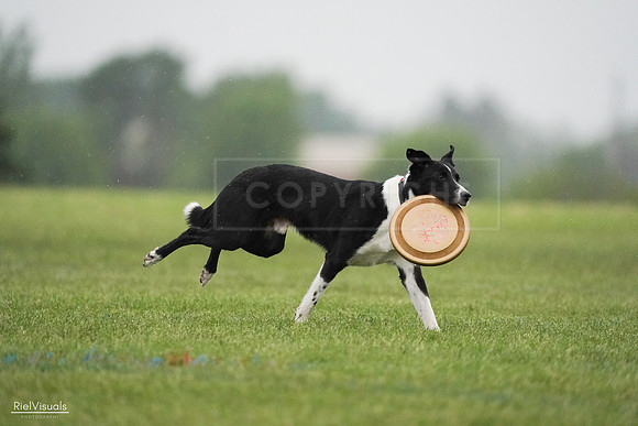 RielVisuals_20240527_094640_SJR08881