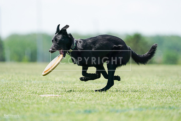 RielVisuals_20240525_122504_SJR09784